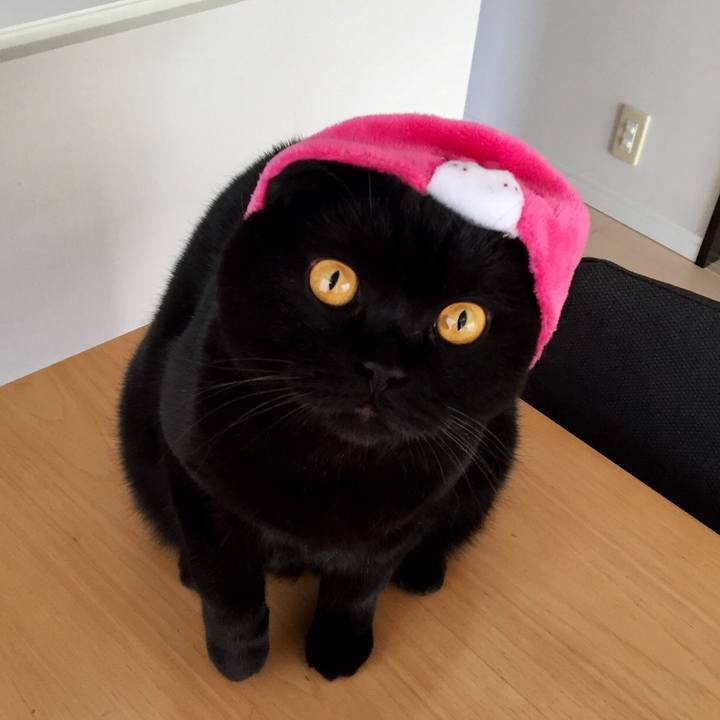 Daa4cbd0 39f8 4bf7 83bb efb075e76ddf 1540043365682