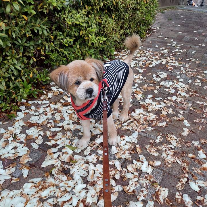 Daa50873 9d90 4d77 b2a6 af46fca1cecc 1647957350433