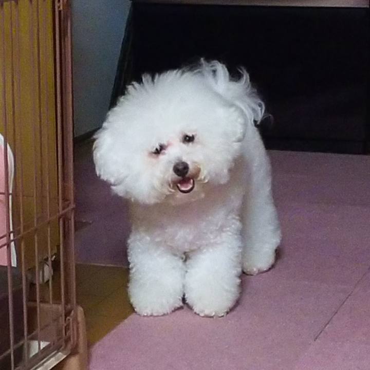 Daa53fed 5e47 4bee b2ba 3e7bcbba37da 1537867958326