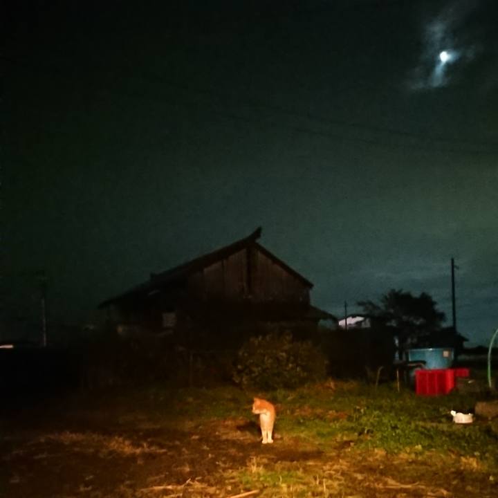 Daa54b04 941f 48ce a48d 27fbc773aeea 1603703390148