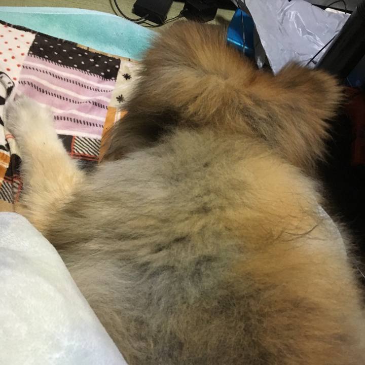 Daa55595 8fe5 4a2b b0fc f351ca4f3031 1570414122321