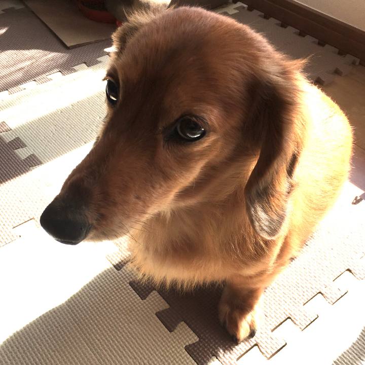 Daa5f5f5 23d4 479a a447 9f511c767276 1581154003689