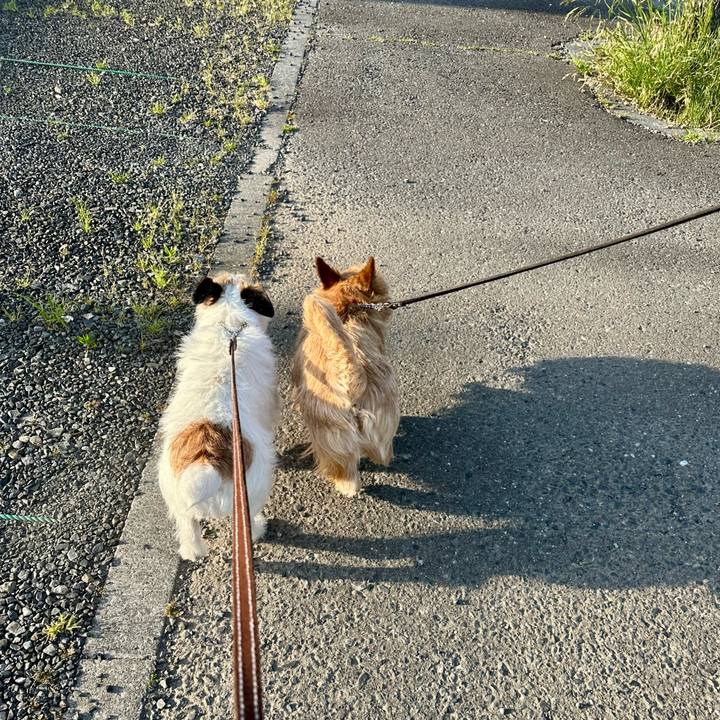 Daa6023e b40a 439e bdc1 2cccc1b7ca0e 1746284449266