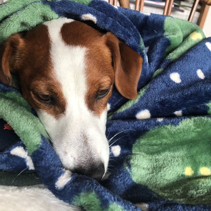 Daa64219 6d75 43b5 9da4 3b32d8bc25c2 1551858827050