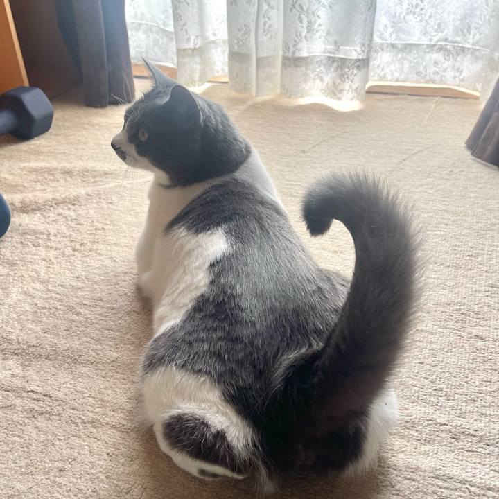 Daa68c0c 7632 44ac a948 17bdd6776a8d 1680402722415