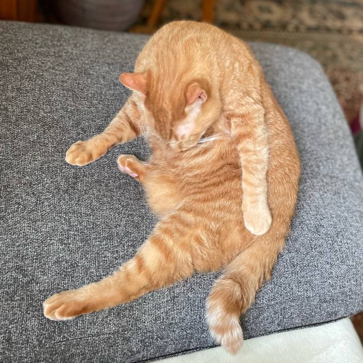 Daa6a02b 1452 49d8 9c25 c78e8f50b2c5 1662014411543