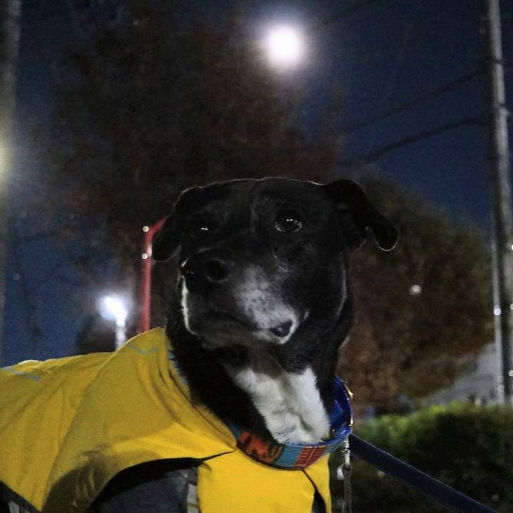 Daa6b67a 15bc 46d2 b15d a459aaa3dfd6 1764933636798