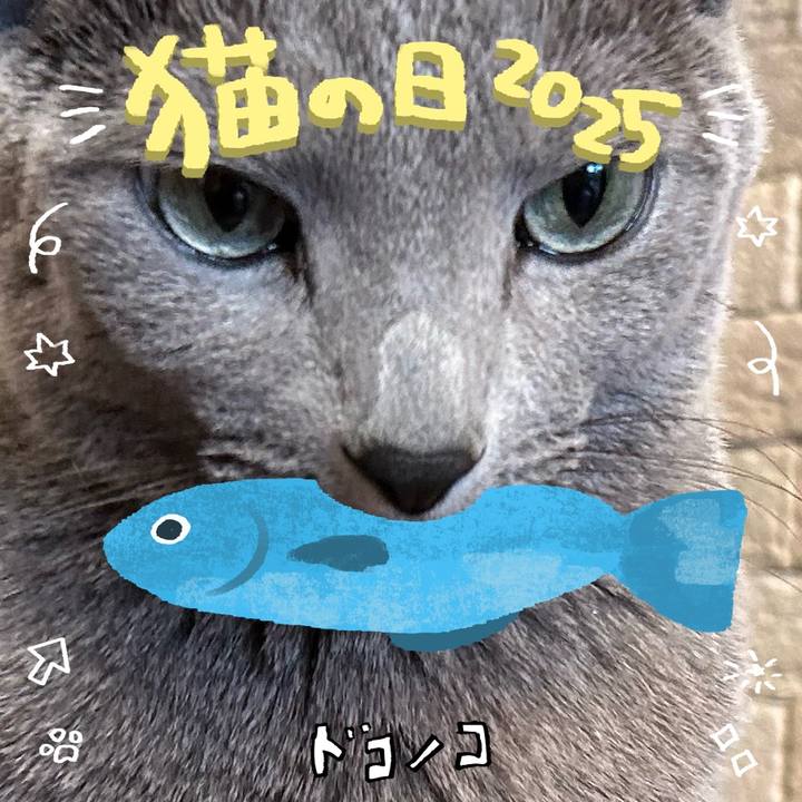 Daa6c2dc 0b57 4163 814b 0e3a44fa2110 1740123733900