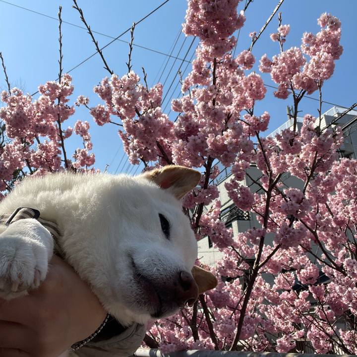 Daa6f068 a0c2 49ac 947e 548394e2a655 1646733364775