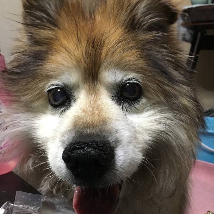 Daa6fd55 3556 4241 ae0d dc75127ce131 1623604070799