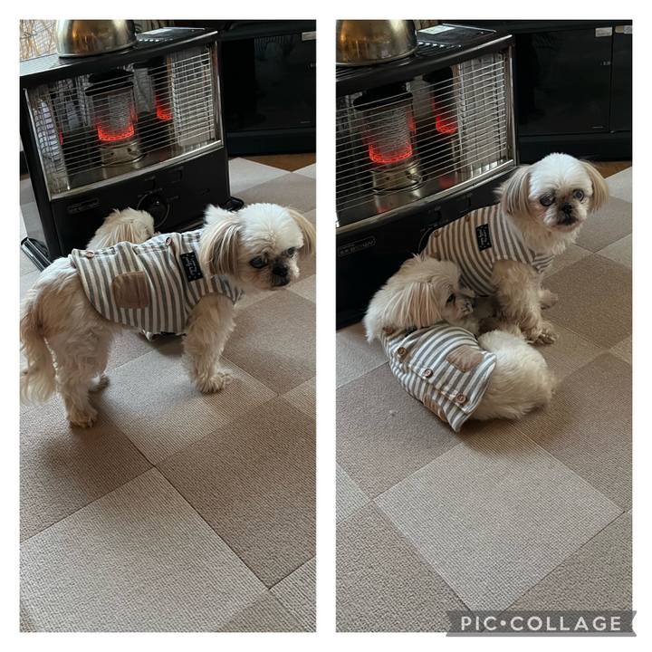 Daa7589c 8c97 4bb7 a8ce f7ac7d762d45 1706082173705