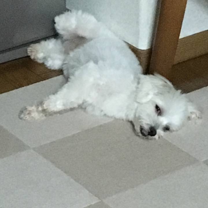 Daa79033 8e95 4359 b64f 39c65267c5fb 1566475655266