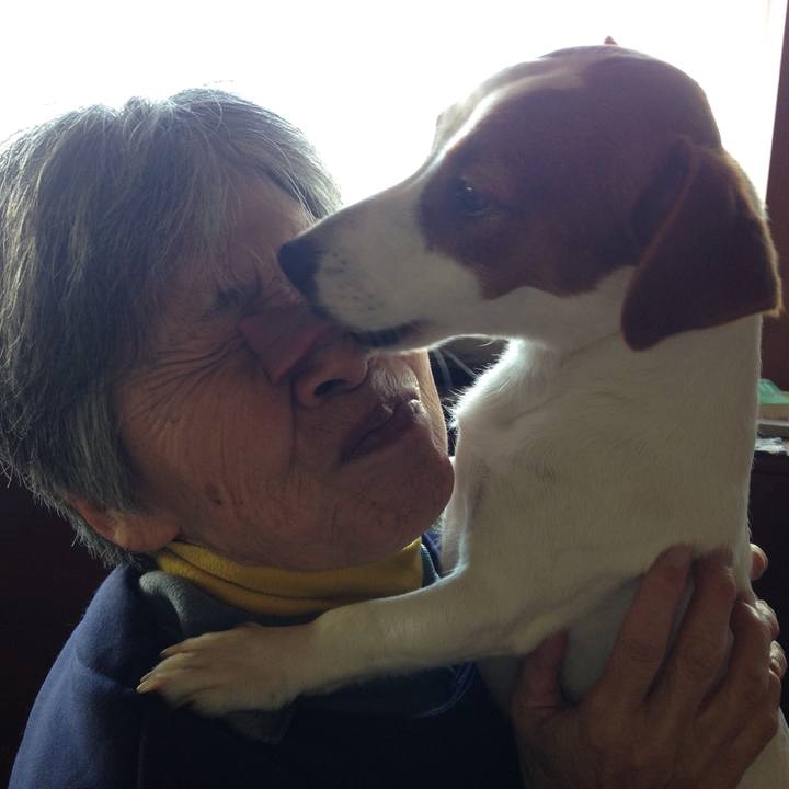 Daa79436 cd1a 4209 8dd9 176e4ef274b6 1511510921495