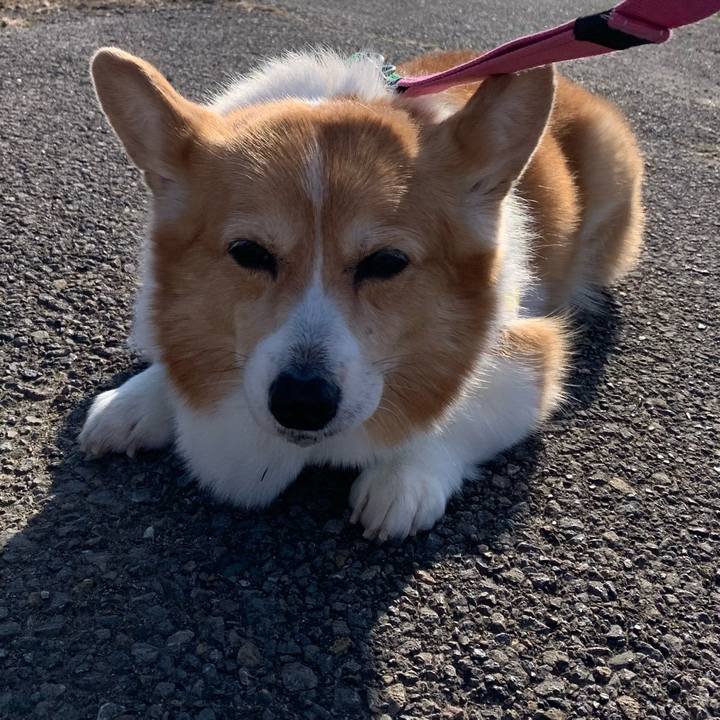 Daa7c5fd 3d4e 4731 ba28 e899aea66aa9 1704861552575