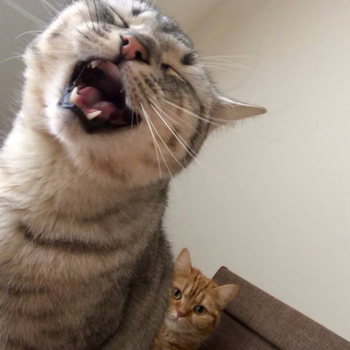 Daa7ded8 3055 44ef 8f3a dd6d1ee1d517 1518222705486