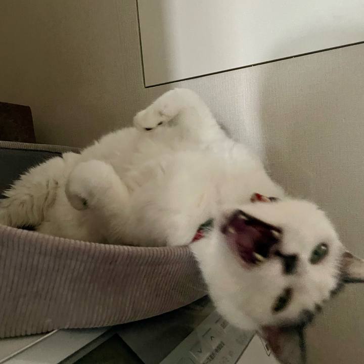 Daa7f03e 3014 4b1a be8a 392ea09318fc 1763178514201