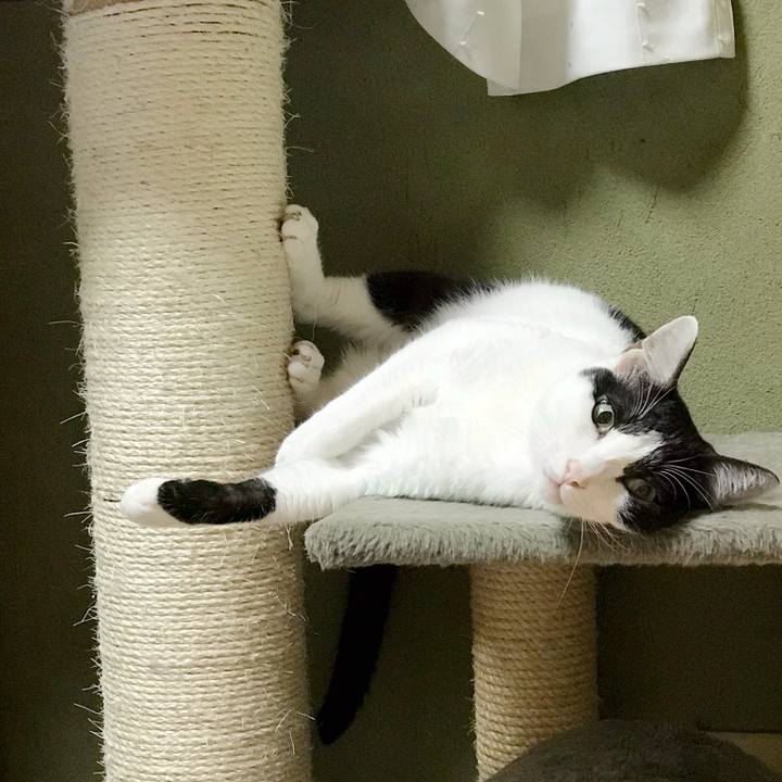 Daa7f0b7 3e68 493e 9048 548611ba3834 1538061875910