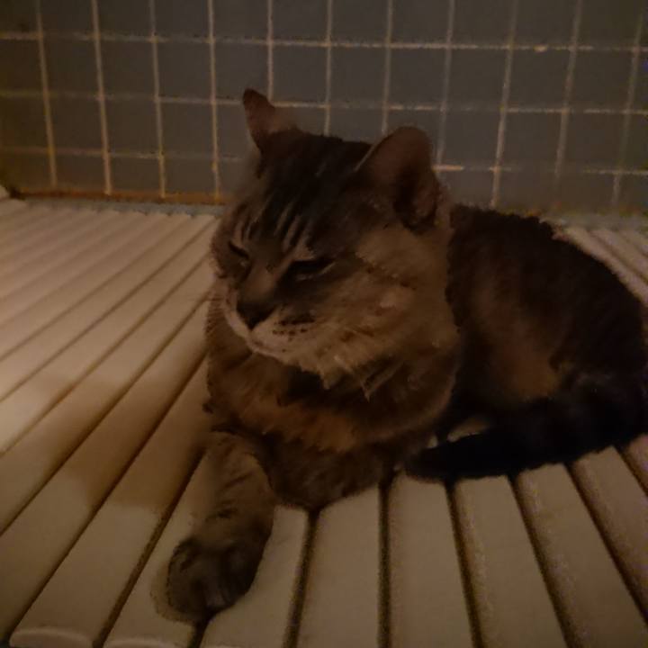 Daa82c4e 5da7 4116 a049 08857011435e 1569585547558