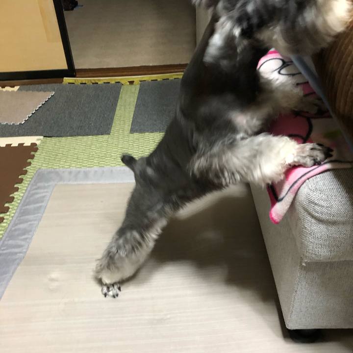 Daa84dd2 8d90 484b ab19 9b0711d3576b 1613654969008