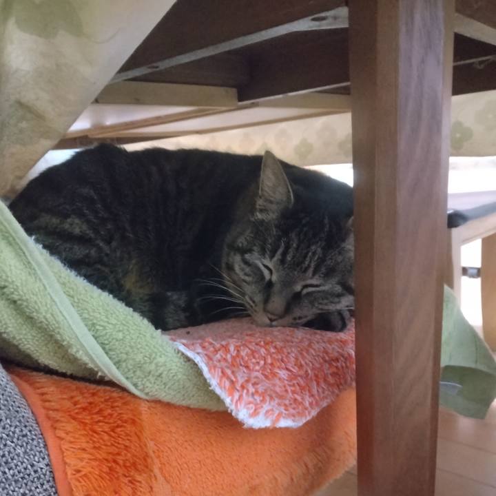 Daa85072 a7ba 4dd4 8164 b04353bed8ed 1708757213277