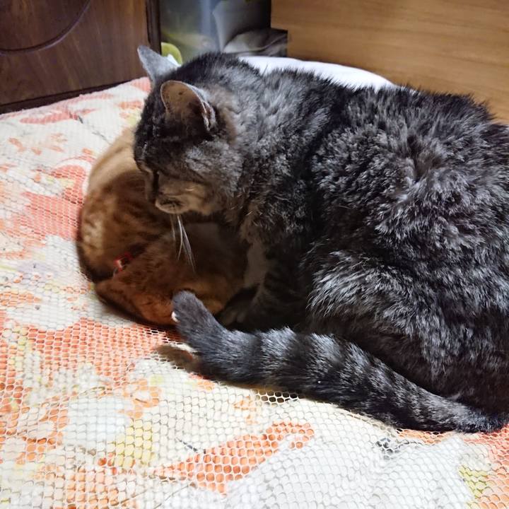 Daa858cc 0809 40f2 a932 d834386be530 1577102776098