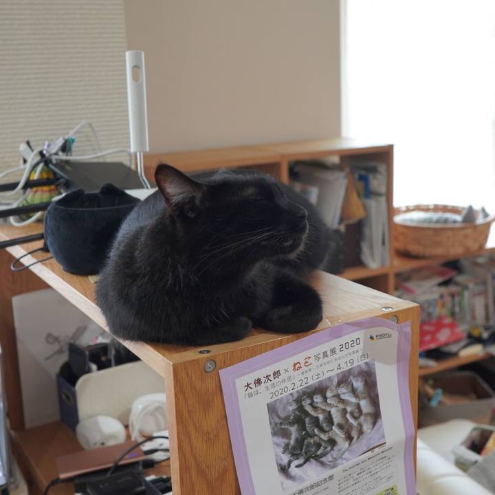 Daa85ce5 27a6 47fe b792 31608321568f 1590066982111