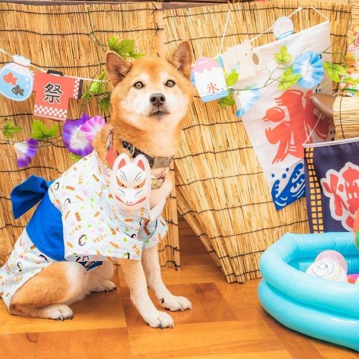 Daa86a2e deb1 4b73 878c 089bdc1897d1 1724638356368