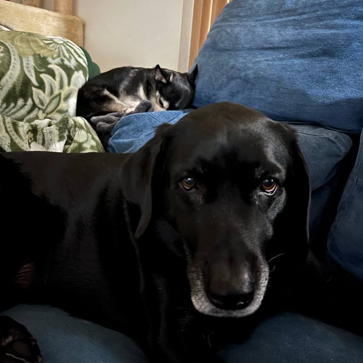 Daa8749d bf21 4261 af8b 48781fe134e1 1735853984841