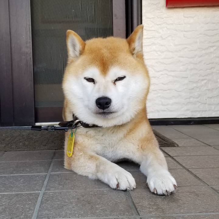 Daa8810a 12e3 4884 8378 a3cba4d4021e 1590452394738