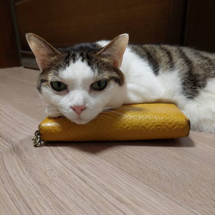 Daa88b16 4722 4364 985c 672d9cd8ed82 1753346472421