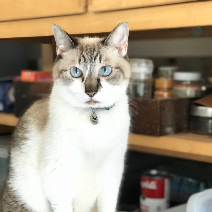 Daa90a89 8ba5 4ba3 93a5 addafb1da15c 1534229490271