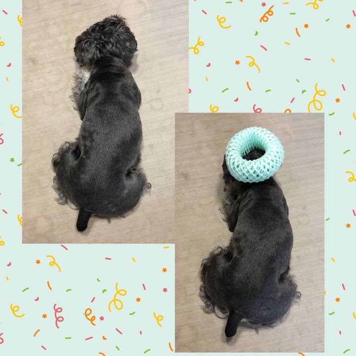 Daa96630 1e82 49f2 9f79 fe0b9b0e0e59 1660972205943