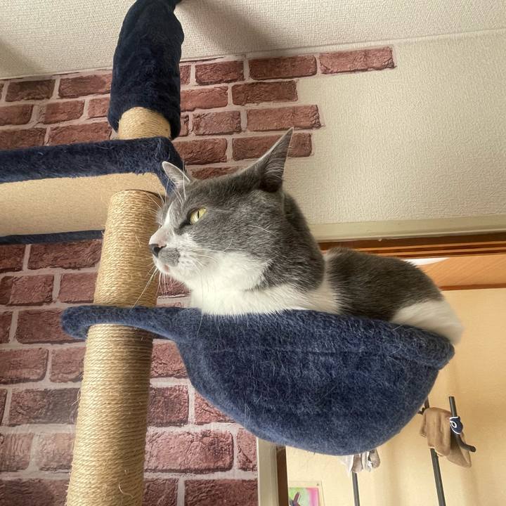 Daa9b5d8 7512 4de8 a4f5 ea82e5c3a05b 1676506115485