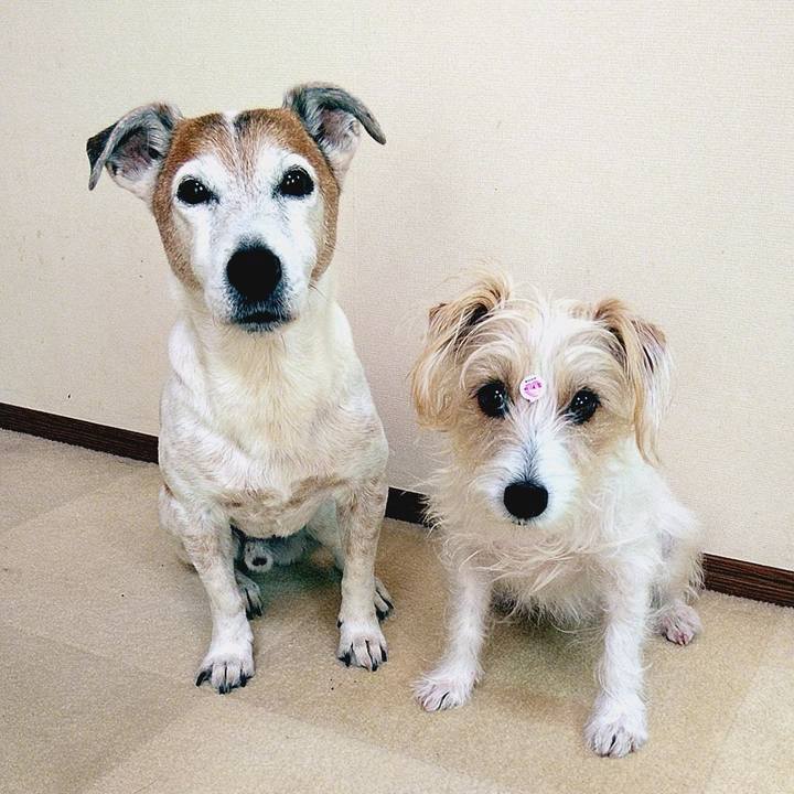 Daa9c03b 8640 403a a9dd 26f48cc4553a 1586046063457