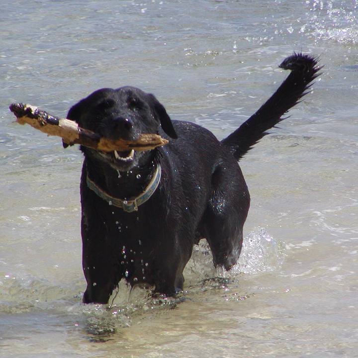 Daa9ca98 a1a3 4780 a74f 11de584b6af0 1523584057930