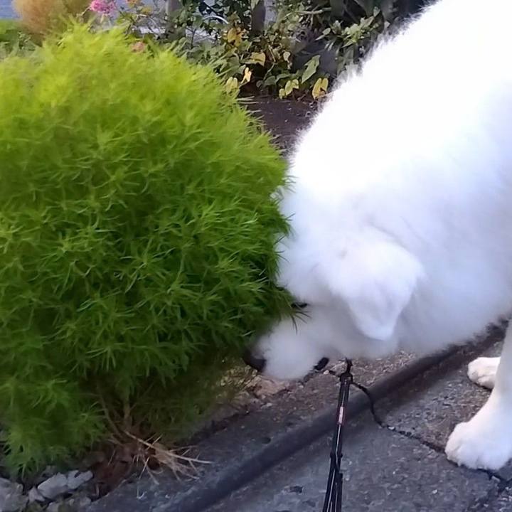 Daaa28a6 5641 46b7 b07b d935e338836d 1695692626554