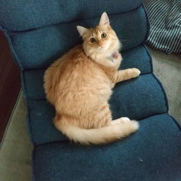 Daaa80b0 2568 4a26 8d6f eea92b96a1db 1630888430730