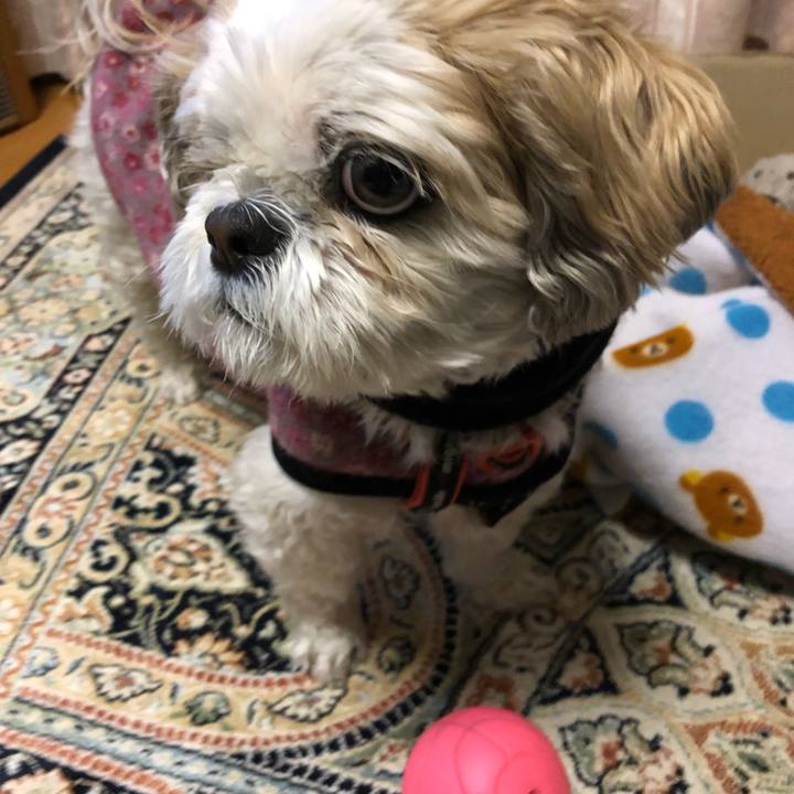 Daaa9349 a024 4ab1 96fb 4d3b4963ff4c 1580603775915