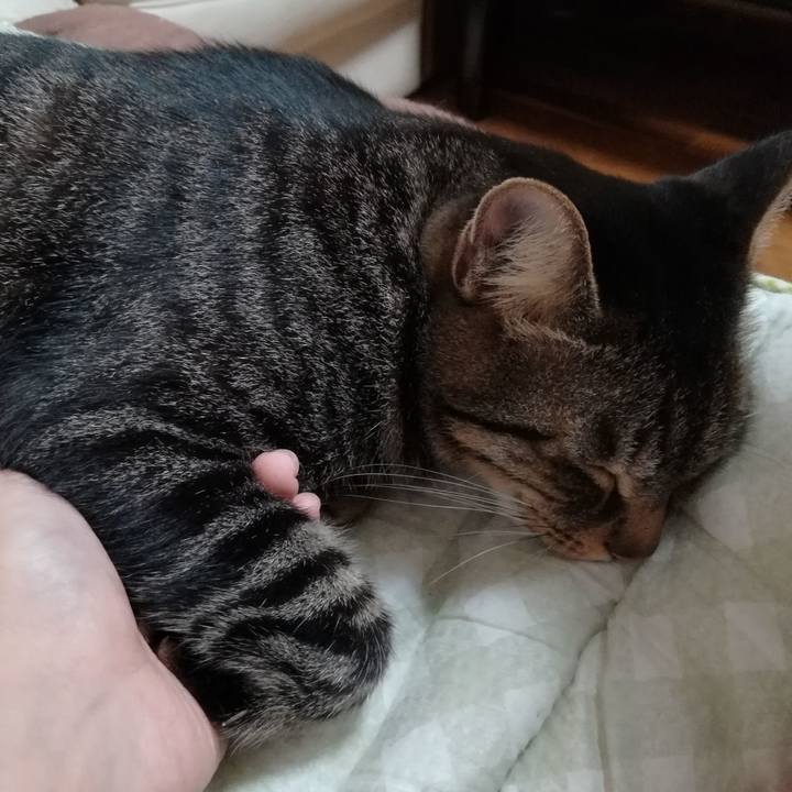 Daaab8ce 4ad0 42ca a357 6e045c74910c 1573558236386