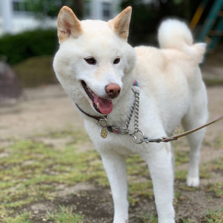 Daaad93b 3256 4a0f 8575 59c8a1eddb8b 1628468903331