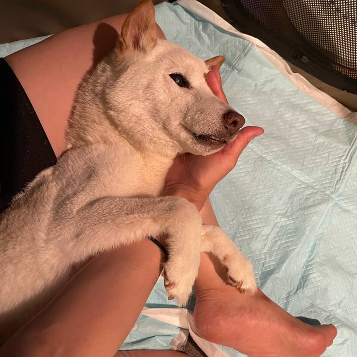 Daaaff60 25eb 4fc8 9799 5f626b5f5283 1656934045765