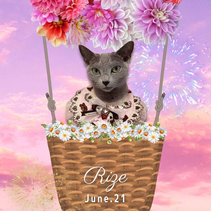 Daab2e56 b9e7 402a 8508 98db3e9493a2 1687302977269