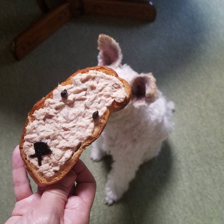 Daab2e92 6883 4221 a33d b81eefbda4e1 1570322204595