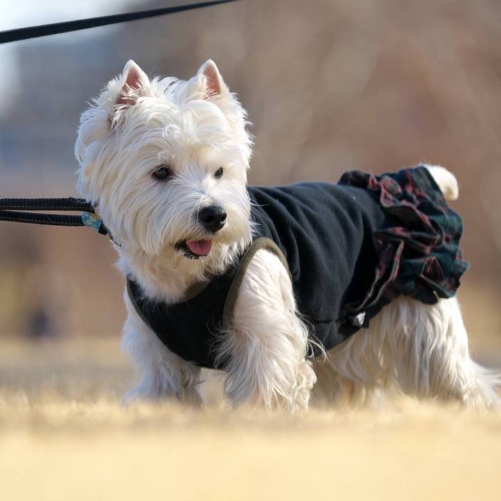 Daab6dfd d85f 4221 b2bd 49b6f367073b 1514717614501