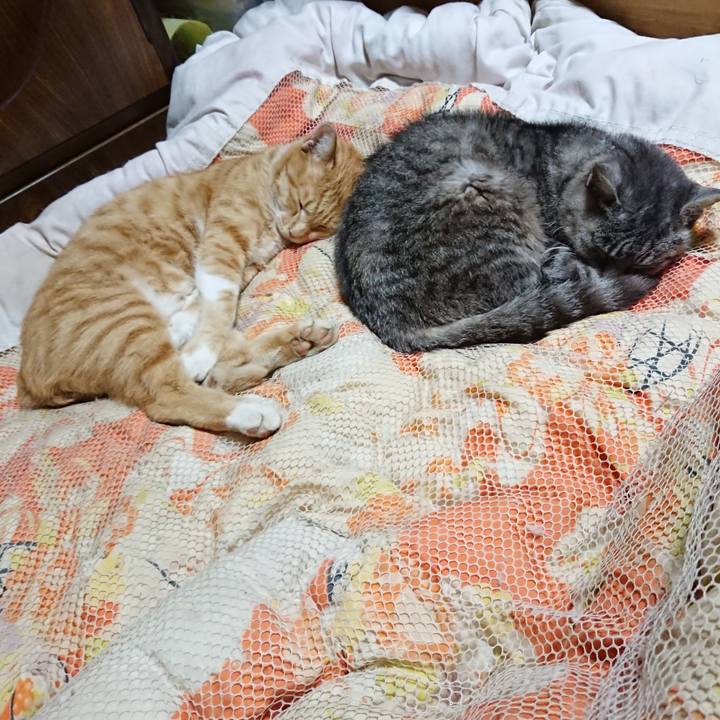 Daab6ebb dce5 49c5 9908 685750c99c4a 1570622959310