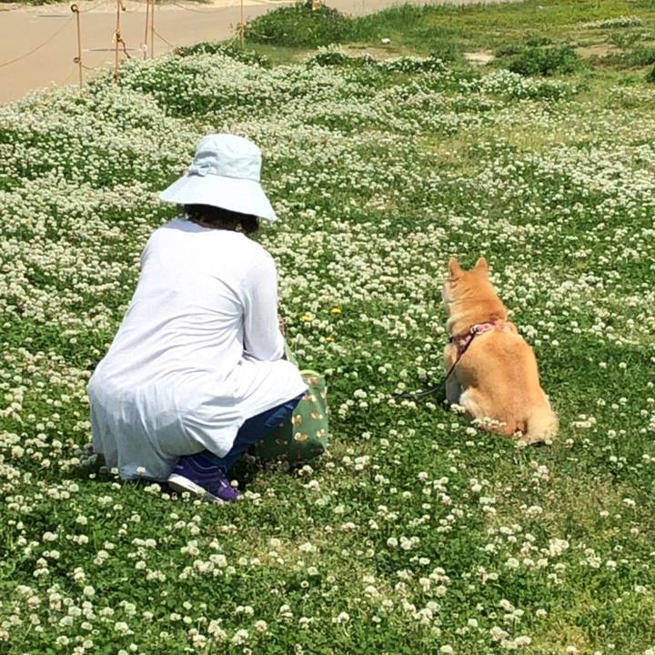 Daab78f1 4655 438d a567 b7d2e9d822d3 1557292440544