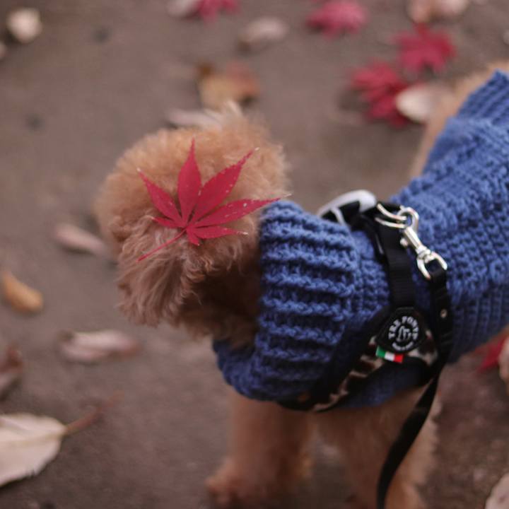 Daab8a96 d57a 4c93 b9aa 9b7e39167a01 1639236789589