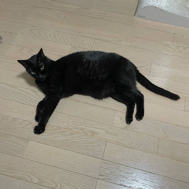 Daab9aba c5c2 4d14 96cb 0cf332feb12c 1749733164553