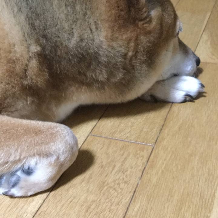 Daaba7b4 90e3 43b0 b0de 6f816368573a 1566639013847