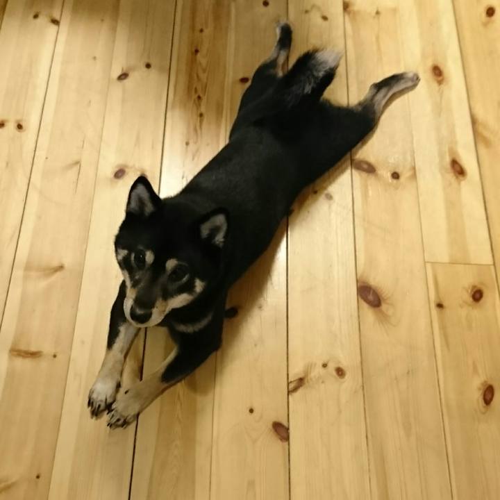 Daabba1f 68e1 4e01 8698 4e58024f09a3 1517741078143